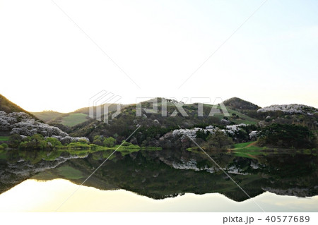瑞山市 湖 反射 40577689