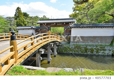 春の和歌山城 40577703