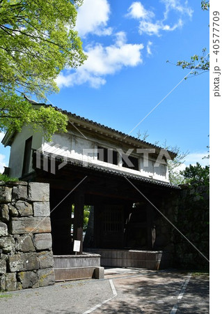 春の和歌山城 40577709