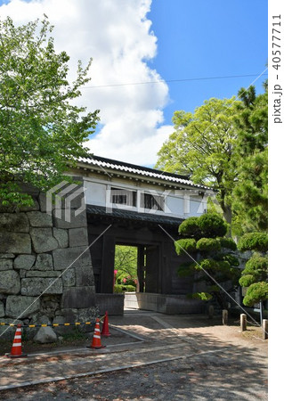 春の和歌山城 40577711