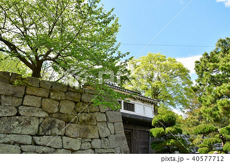春の和歌山城 40577712