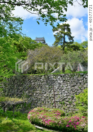 春の和歌山城 春の和歌山城 40577721