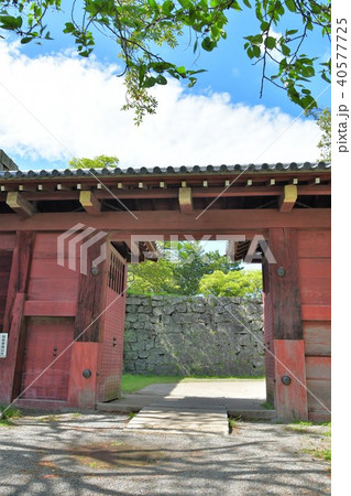 春の和歌山城 40577725