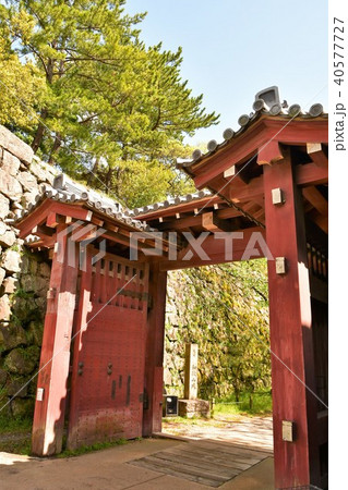 春の和歌山城 40577727