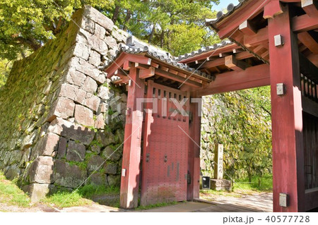 春の和歌山城 40577728