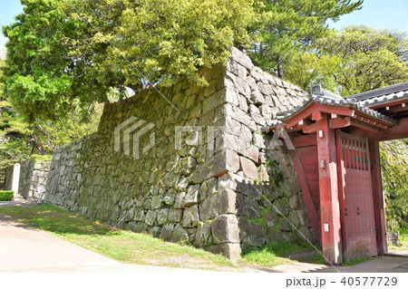 春の和歌山城 春の和歌山城 40577729