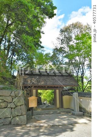 春の和歌山城 40577731