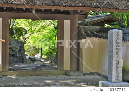 春の和歌山城 40577732