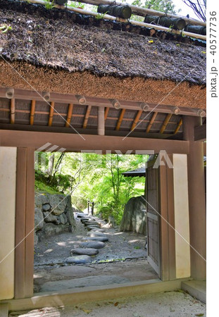 春の和歌山城 40577736