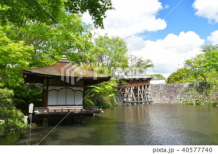 春の和歌山城 40577740