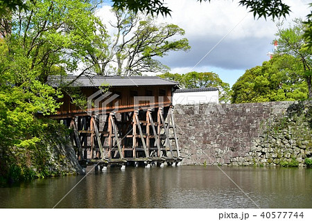 春の和歌山城 春の和歌山城 40577744