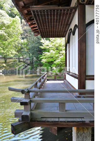 春の和歌山城 40577750