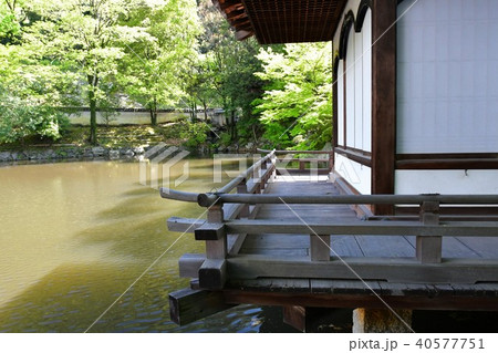 春の和歌山城 40577751