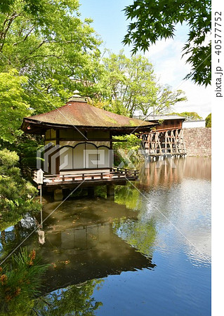 春の和歌山城 40577752