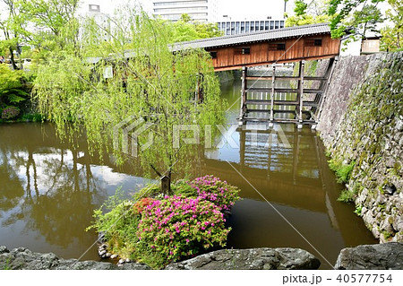 春の和歌山城 春の和歌山城 40577754