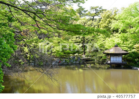 春の和歌山城 春の和歌山城 40577757