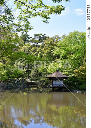 春の和歌山城 春の和歌山城 40577758