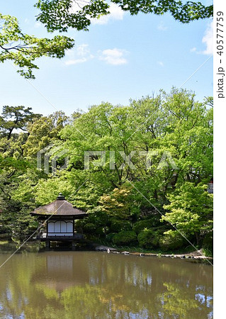 春の和歌山城 40577759