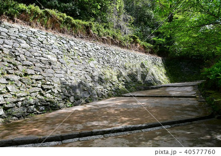 春の和歌山城 40577760