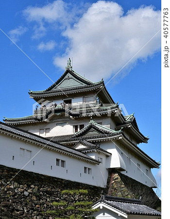 春の和歌山城 40577763