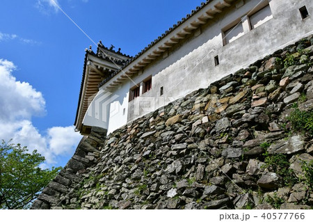 春の和歌山城 40577766