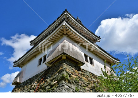 春の和歌山城 40577767