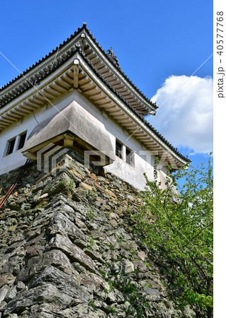 春の和歌山城 40577768