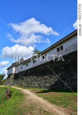 春の和歌山城 春の和歌山城 40577770