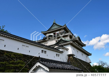 春の和歌山城 春の和歌山城 40577777