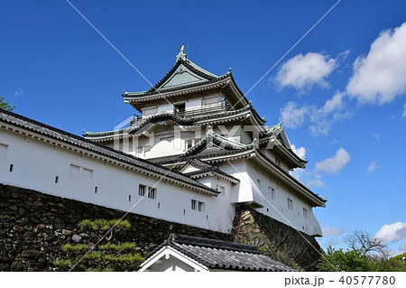 春の和歌山城 春の和歌山城 40577780