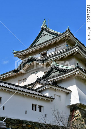 春の和歌山城 40577781
