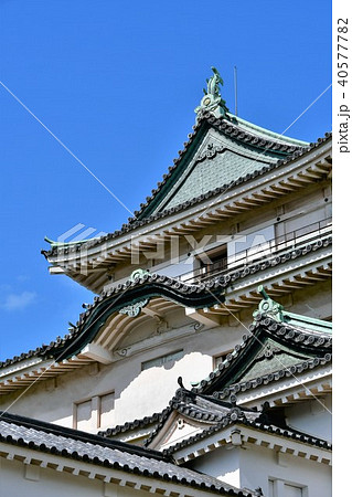 春の和歌山城 40577782