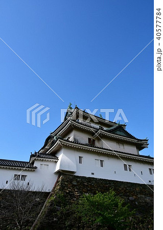 春の和歌山城 40577784