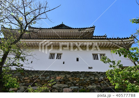 春の和歌山城 40577788