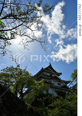 春の和歌山城 40577792