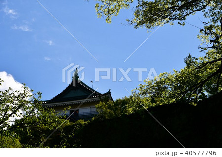 春の和歌山城 春の和歌山城 40577796