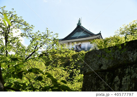 春の和歌山城 40577797