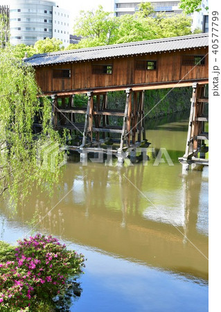 春の和歌山城 40577799