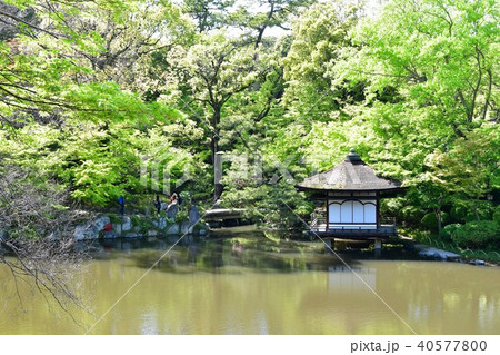 春の和歌山城 40577800