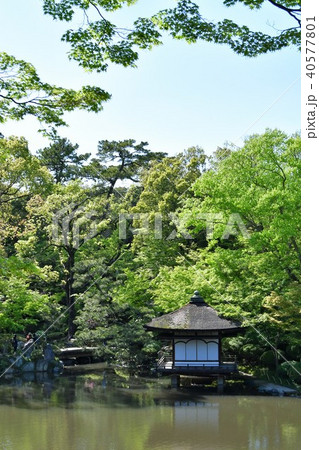 春の和歌山城 40577801