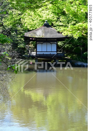 春の和歌山城 40577805