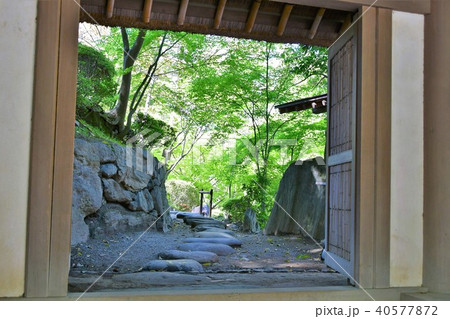 春の和歌山城 40577872