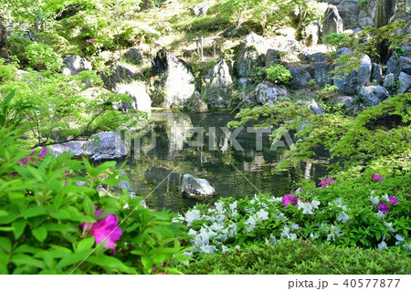 春の和歌山城 40577877