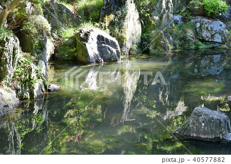 春の和歌山城 40577882