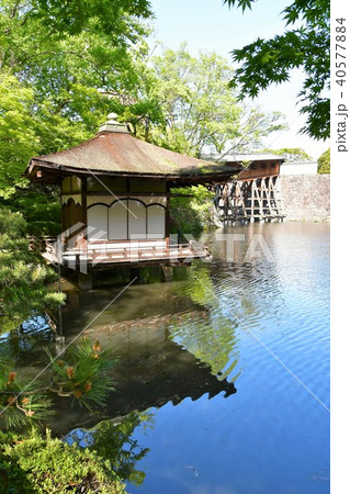 春の和歌山城 40577884