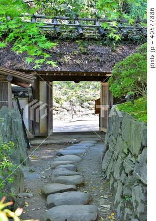 春の和歌山城 40577886