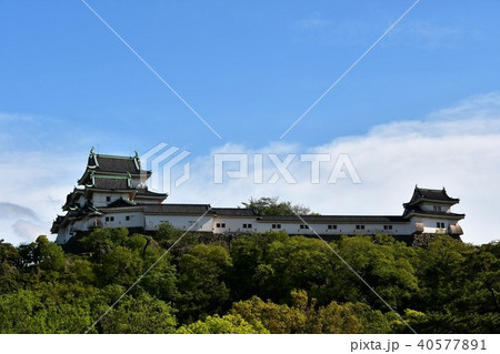 春の和歌山城 40577891