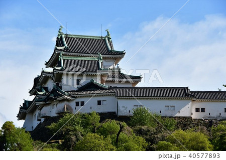 春の和歌山城 40577893