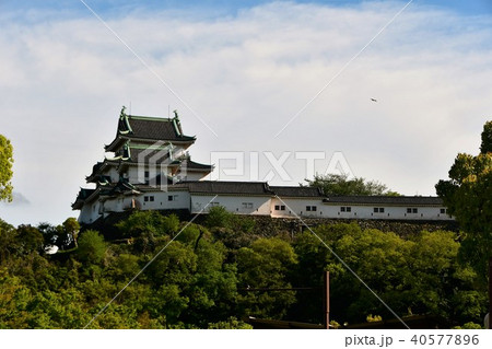 春の和歌山城 春の和歌山城 40577896