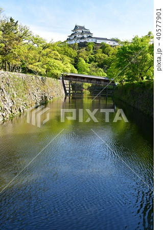 春の和歌山城 春の和歌山城 40577901
